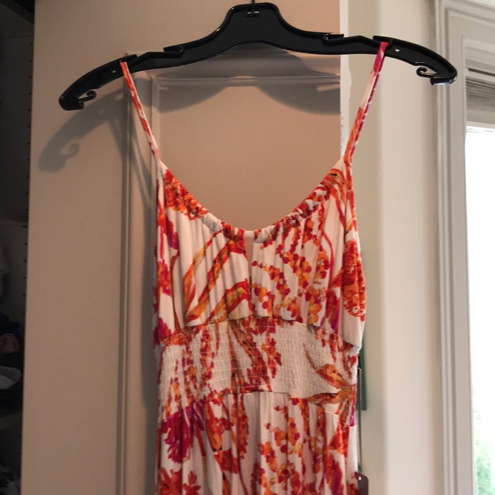 Felicity and coco Dress